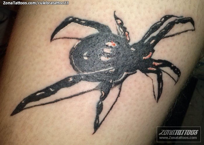 Foto de tatuaje Arañas, Insectos