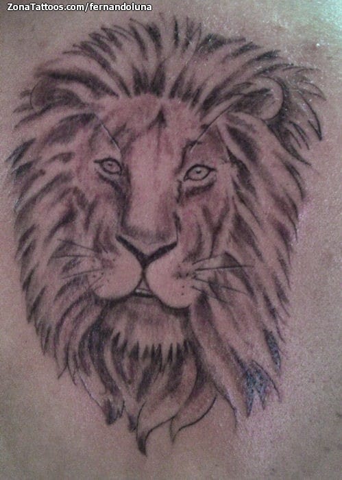 Tattoo photo Animals, Lions