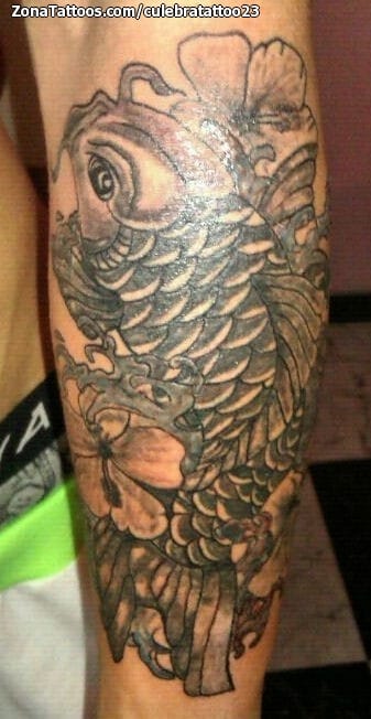 Tattoo photo Forearm, Fish, Koi