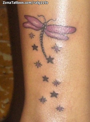 Foto de tatuaje Insectos, Estrellas, Libélulas