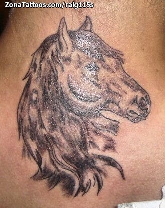 Foto de tatuaje Caballos, Animales, Cuello