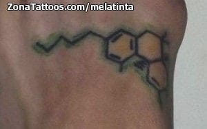 Foto de tatuaje Química, Pie