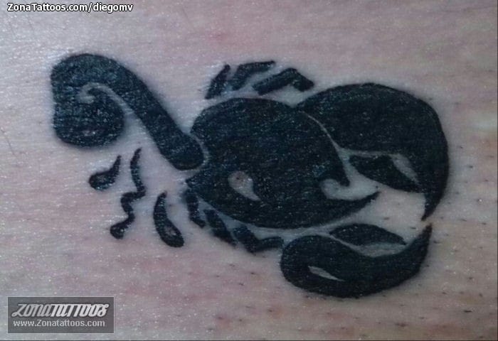 Tattoo photo Scorpions, Insects