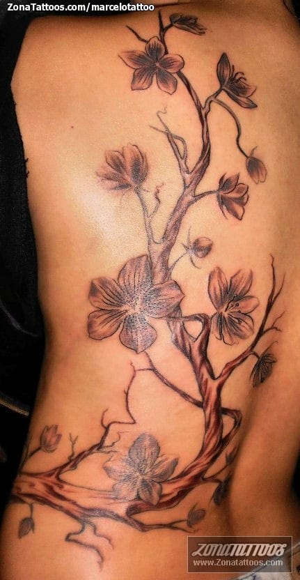 Tattoo photo Flowers, Back, Cherry blossoms