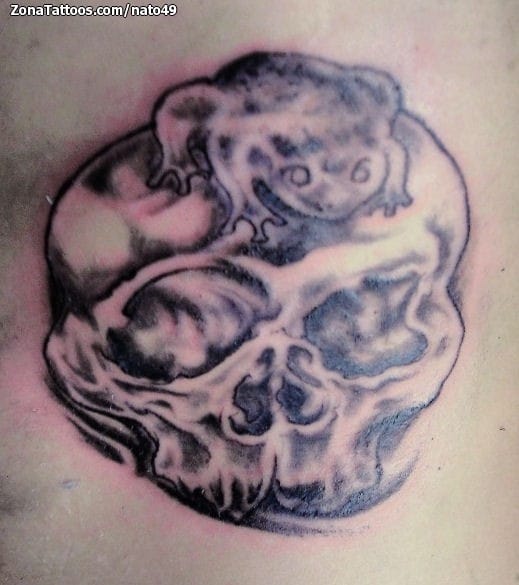 Tattoo photo Skulls, Frogs