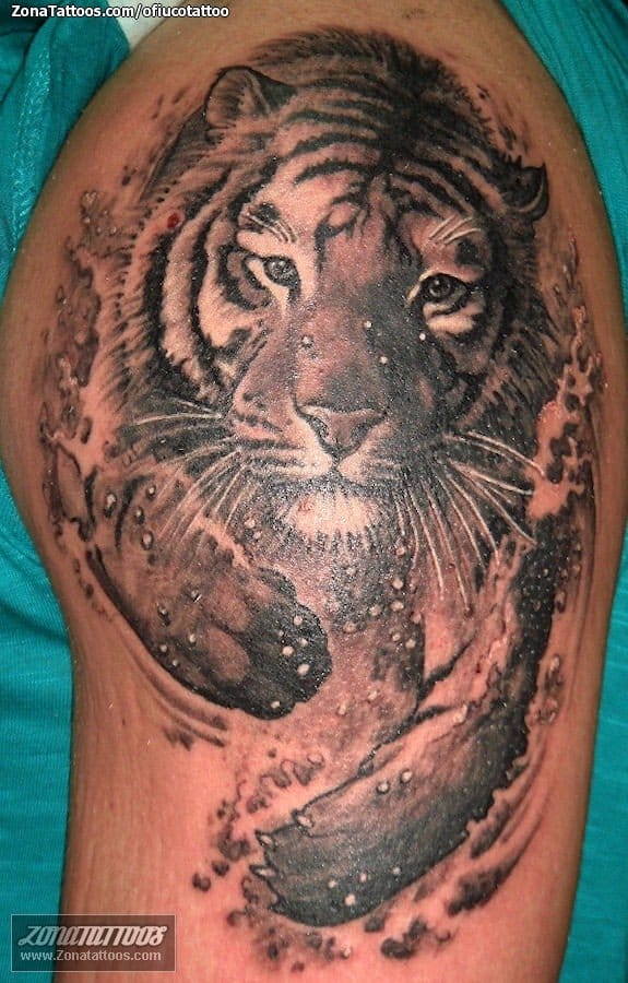 Foto de tatuaje Tigres, Animales, Brazo