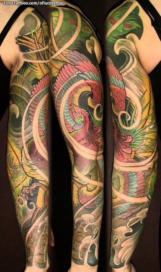 Tattoo photo Phoenix, Asian, Arm