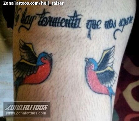 Foto de tatuaje Aves, Frases, Golondrinas