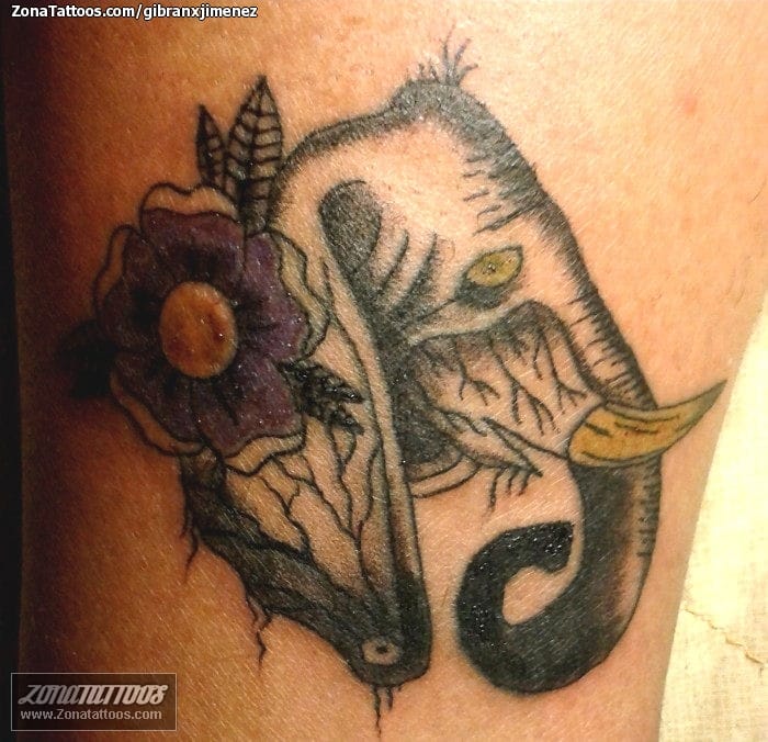 Foto de tatuaje Flores, Animales, Elefantes