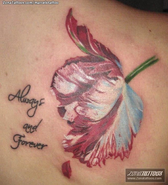 Foto de tatuaje Flores, Frases, Letras