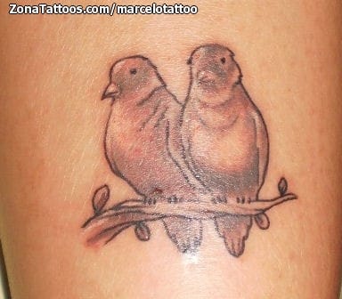 Foto de tatuaje Aves, Animales