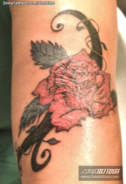 Tattoo photo Flowers, Roses