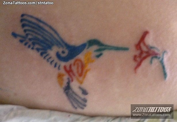 Foto de tatuaje Colibríes, Aves, Animales