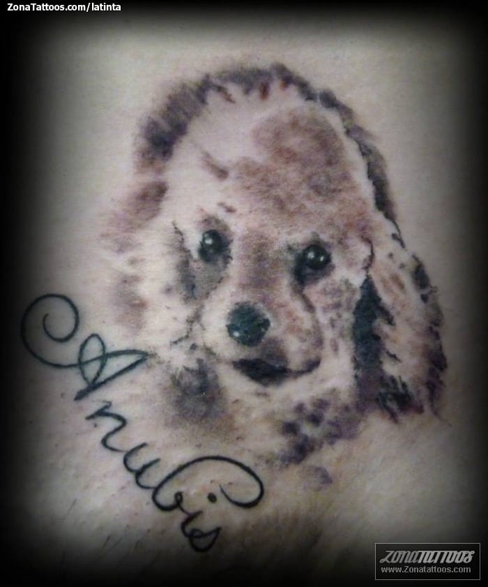 Tattoo photo Animals, Dogs, Letters