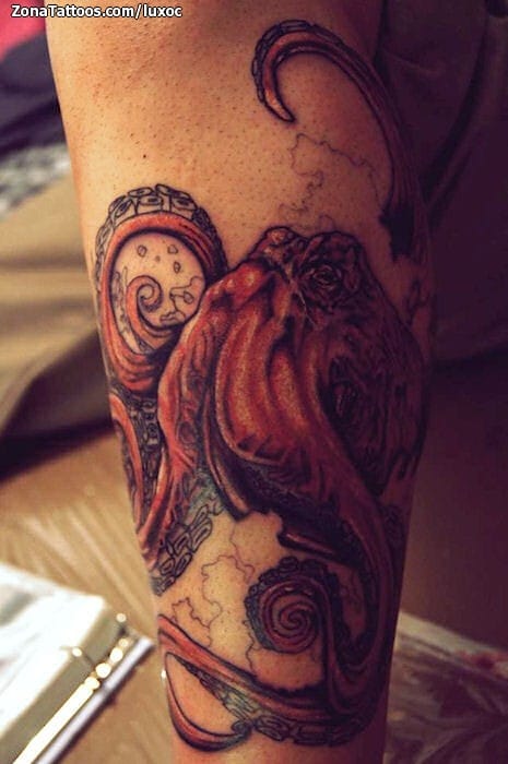 Tattoo photo Octopuses, Animals