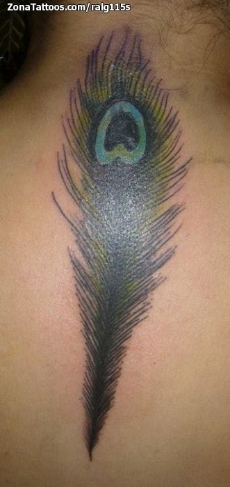 Foto de tatuaje Nuca, Plumas