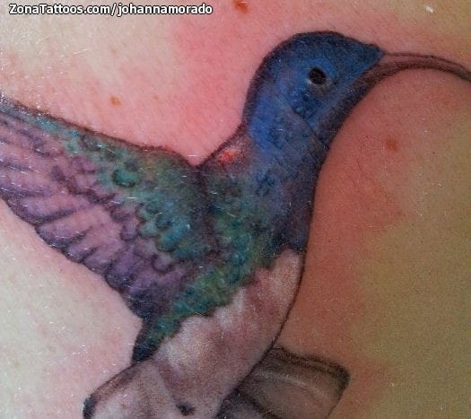 Foto de tatuaje Colibríes, Aves, Animales