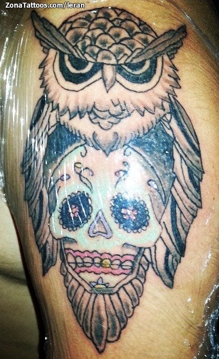 Tattoo photo Owls, Birds, Animals