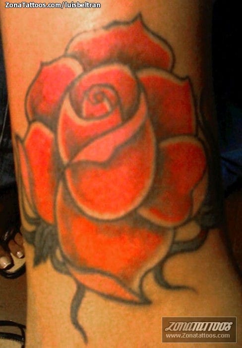 Tattoo photo Roses, Flowers