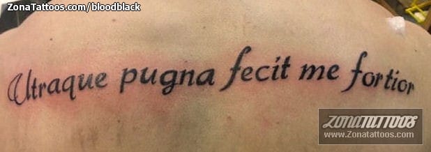 Foto de tatuaje Frases, Letras, Espalda