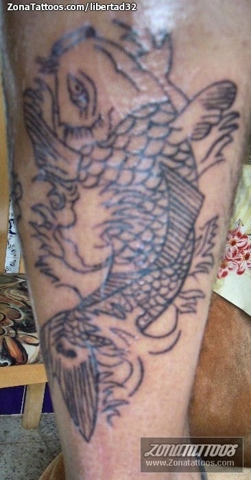 Tattoo photo Koi, Animals, Fish