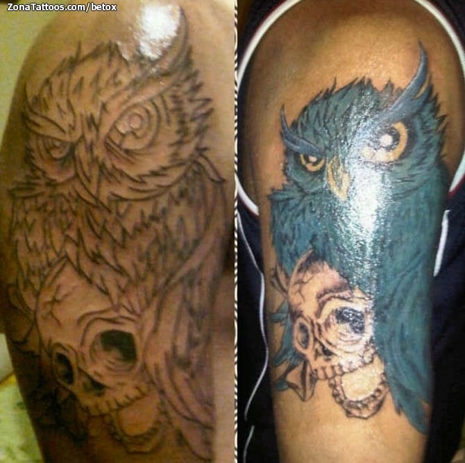 Tattoo photo Owls, Birds, Animals