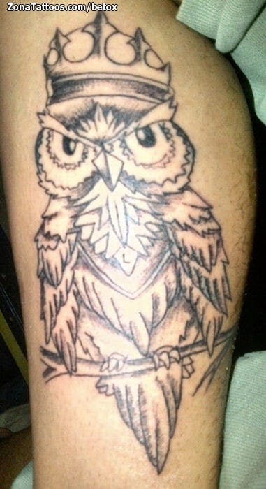 Tattoo photo Owls, Birds, Animals