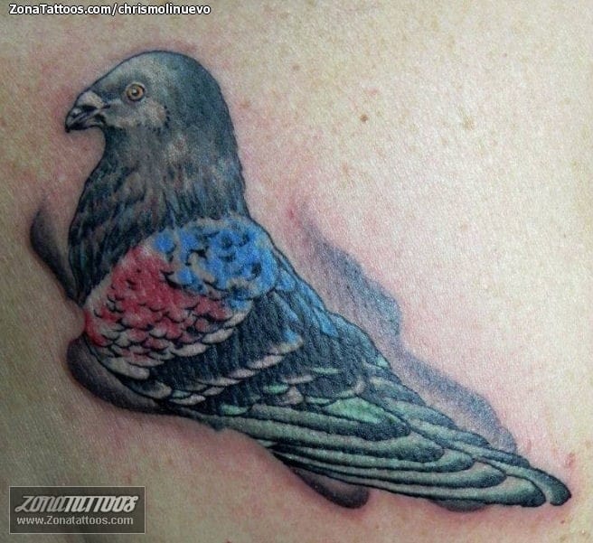 Foto de tatuaje Aves, Palomas, Animales