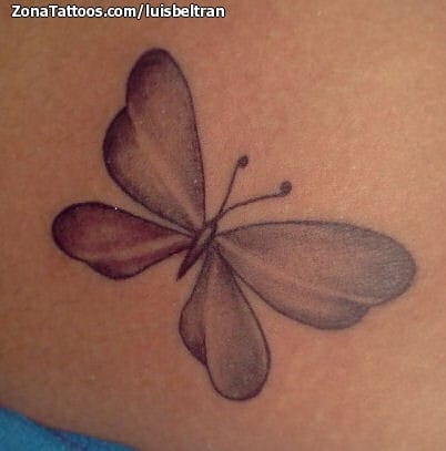 Foto de tatuaje Mariposas, Insectos