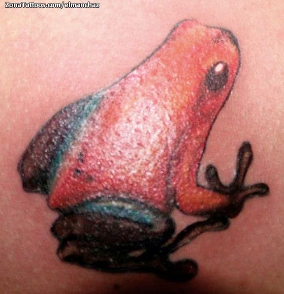 Foto de tatuaje Ranas, Animales