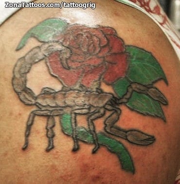 Tattoo photo Scorpions, Roses, Flowers