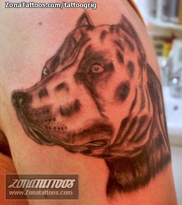 Foto de tatuaje Perros, Animales, Brazo