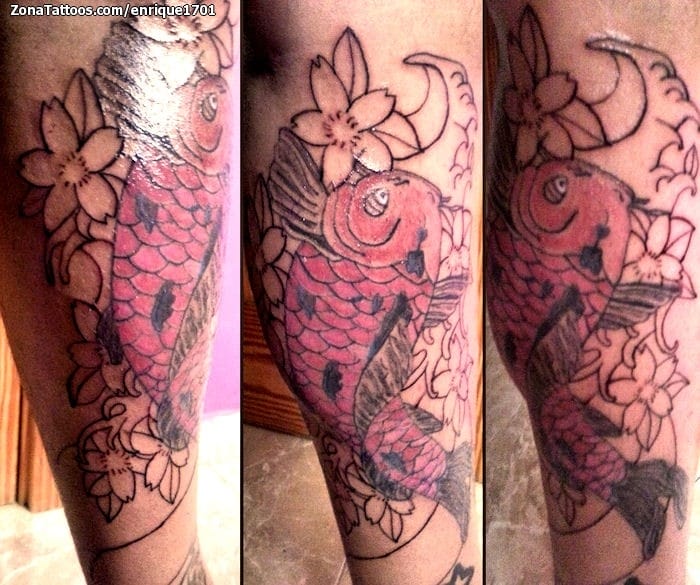 Tattoo photo Koi, Fish, Animals