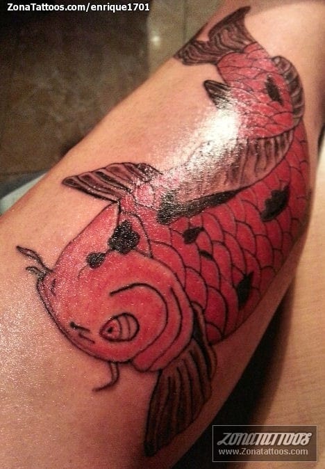 Tattoo photo Koi, Fish, Animals