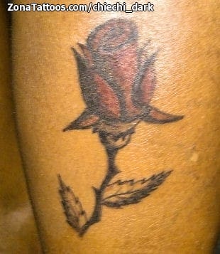 Tattoo photo Roses, Flowers