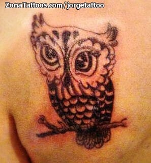 Tattoo photo Owls, Birds, Animals