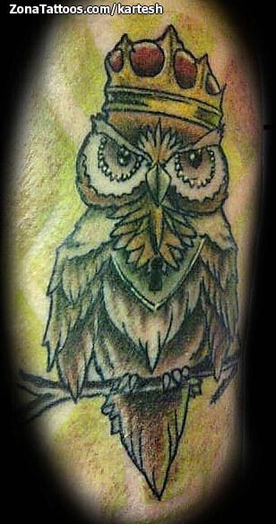 Tattoo photo Owls, New School, Birds