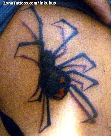 Foto de tatuaje Arañas, Insectos