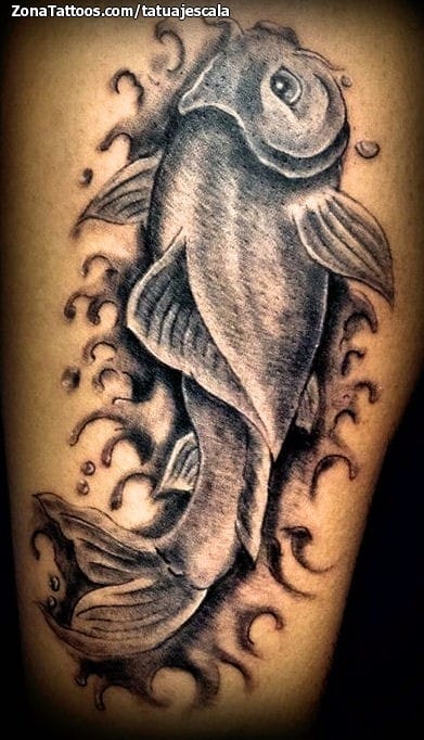 Tattoo photo Koi, Water, Fish