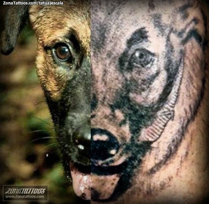 Tattoo photo Dogs, Animals