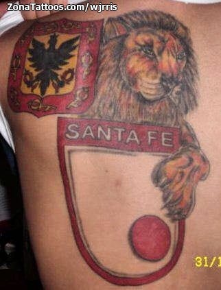 Foto de tatuaje Escudos, Leones, Animales