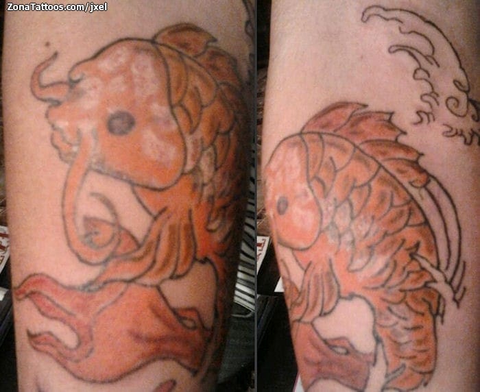 Tattoo photo Koi, Fish, Asian