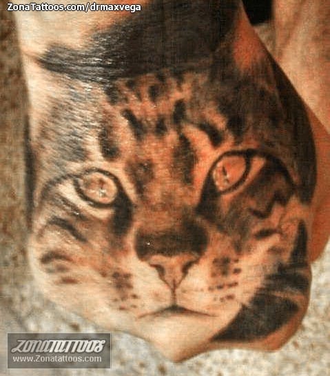 Foto de tatuaje Gatos, Animales, Mano