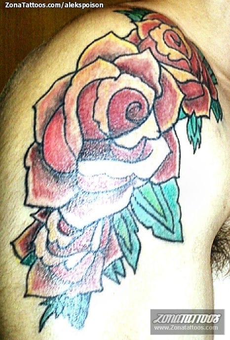 Tattoo photo Roses, Flowers, Old School