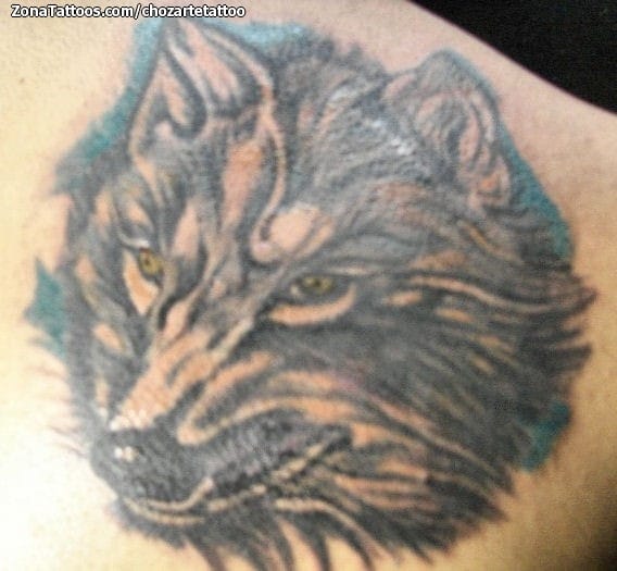 Tattoo photo Wolfs, Animals