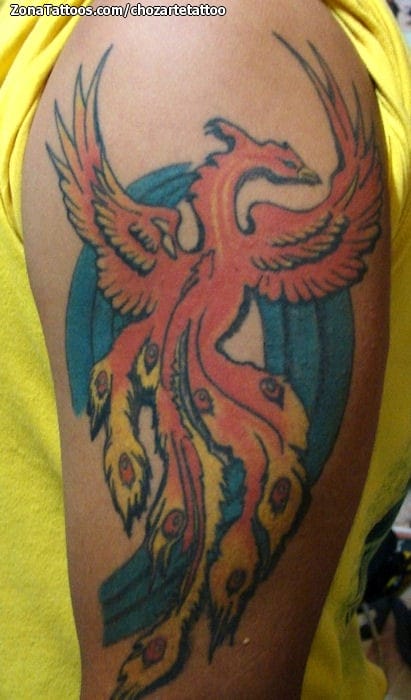 Tattoo photo Phoenix, Fantasy, Arm