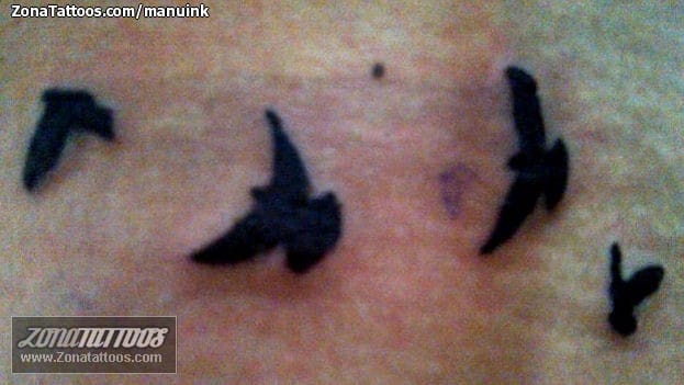 Foto de tatuaje Aves, Siluetas, Animales