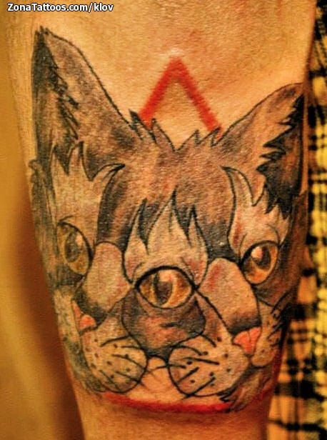 Foto de tatuaje Gatos, Animales