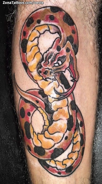 Tattoo photo Snakes, Leg