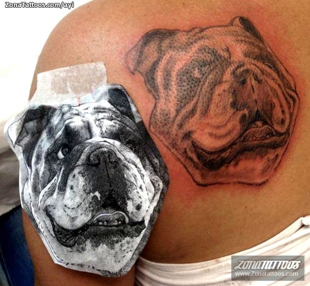 Foto de tatuaje Perros, Animales, Omóplato